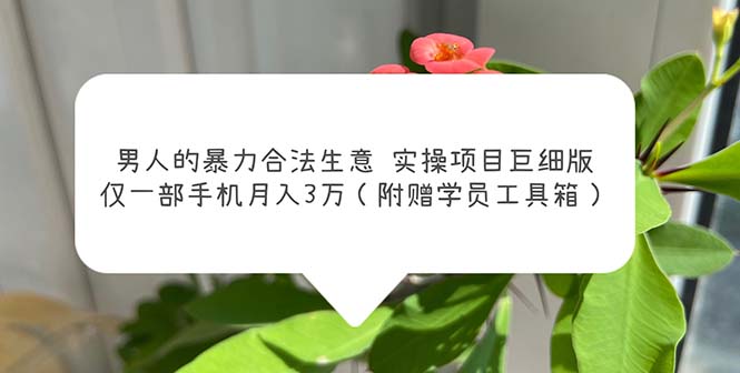 （5962期）男人的暴力合法生意实操项目巨细版：仅一部手机月入3w（附赠学员工具箱）网创吧-网创项目资源站-副业项目-创业项目-搞钱项目网创吧