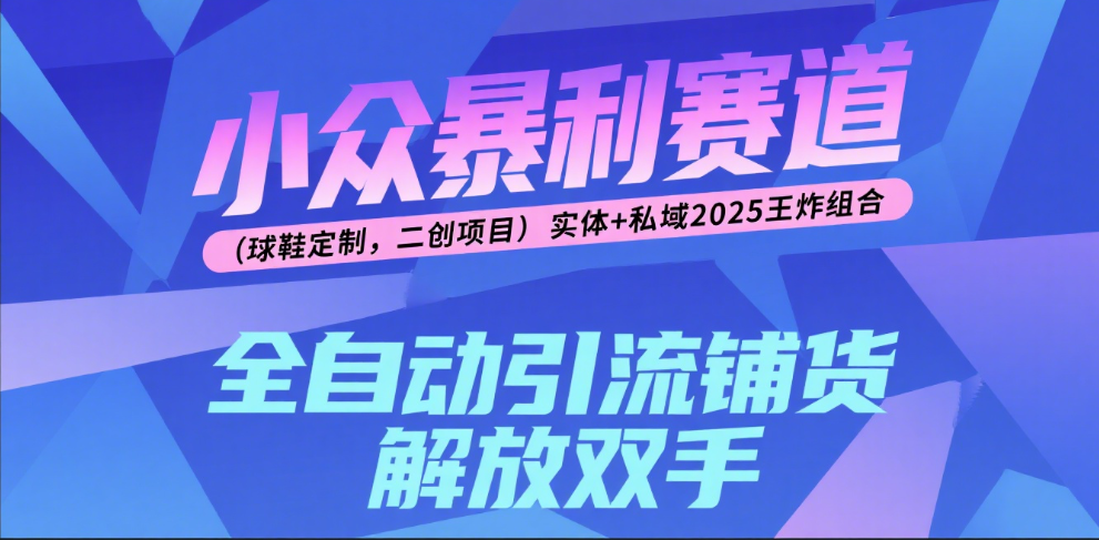 楠—小众暴利赛道（球鞋定制，二创项目）实体+私域2025王炸组合网创库-网创项目资源站-副业项目-创业项目-搞钱项目网创吧
