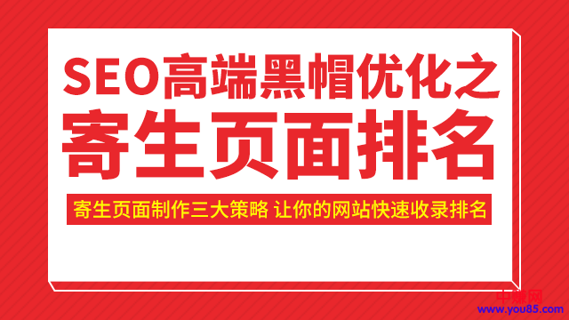 （951期）SEO高端黑帽优化之寄生页面排名，制作策略+快速收录排名（视频课）
