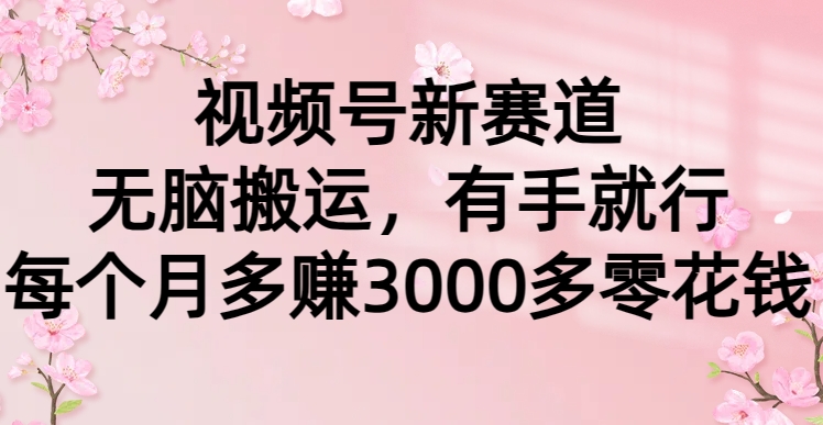 视频号新赛道,无脑搬运,有手就行,每个月多赚3000多零花钱网创吧-网创项目资源站-副业项目-创业项目-搞钱项目网创吧