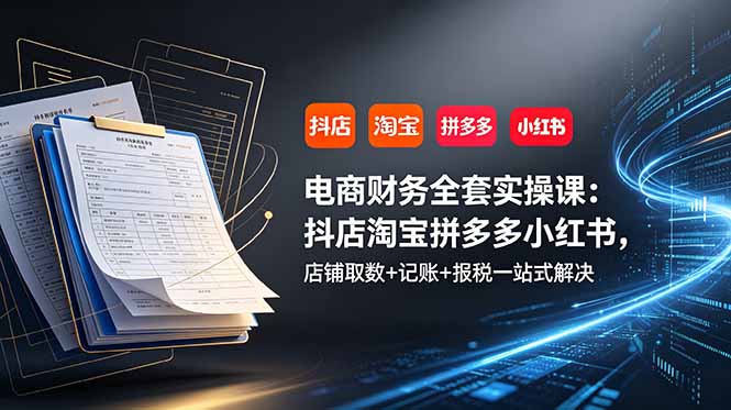 (19001期)电商财务全套实操课:抖店淘宝拼多多小红书,店铺取数+记账+报税一站式解决
