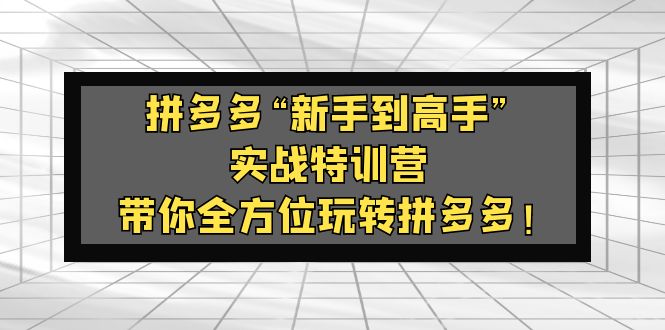 (5173期)拼多多“新手到高手”实战特训营:带你全方位玩转拼多多!