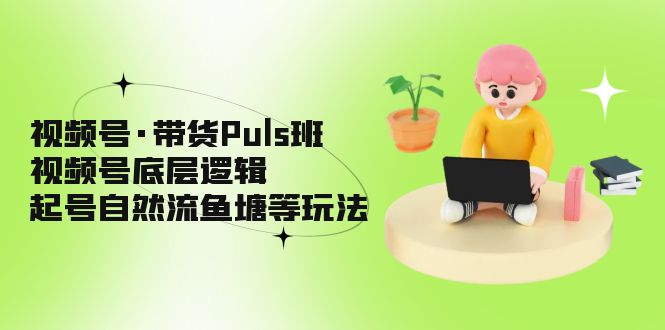 (5027期)视频号·带货Puls班,视频号底层逻辑,起号自然流鱼塘等玩法