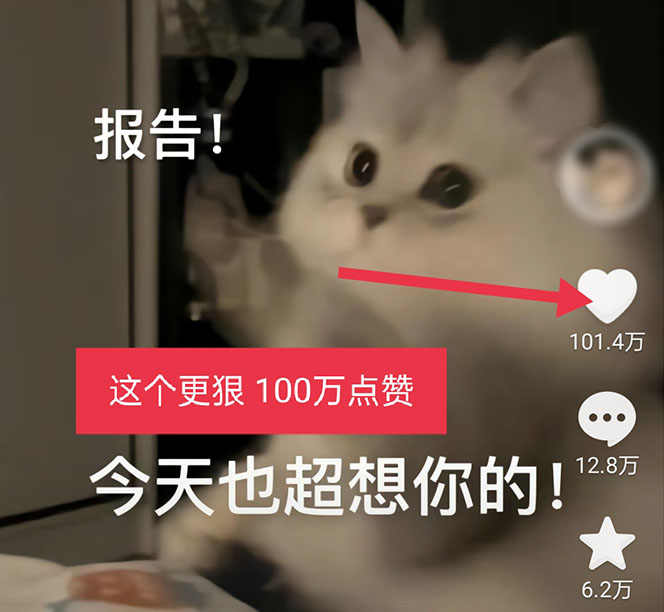 (5498期)黑科技纯原创可爱猫咪图片,全网精准引流,实操5个VX号被加频繁网创吧-网创项目资源站-副业项目-创业项目-搞钱项目网创吧