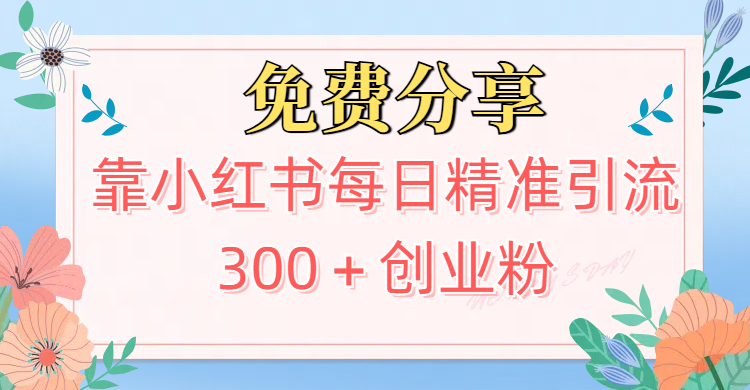 2025最新引流!靠小红书每日精准引流300+创业粉网创吧-网创项目资源站-副业项目-创业项目-搞钱项目网创吧