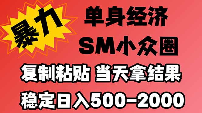 （21205期）26年 最新小众情感赛道，手机操作，十分钟见收益，小白也能当天上手，全程复制粘贴模板即可，稳定日入1k+-网创项目资源站-副业项目_创业项目_搞钱项目_网创项目资源平台