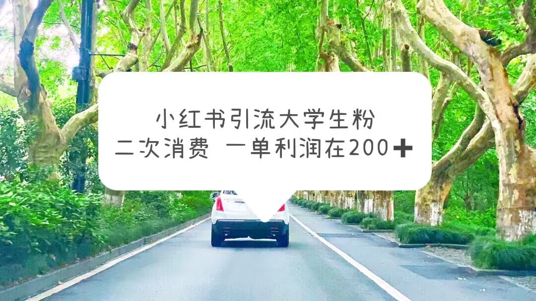 （5914期）小红书引流大学生粉，变现项目，一单利润在200+（教程+资源）网创吧-网创项目资源站-副业项目-创业项目-搞钱项目网创吧