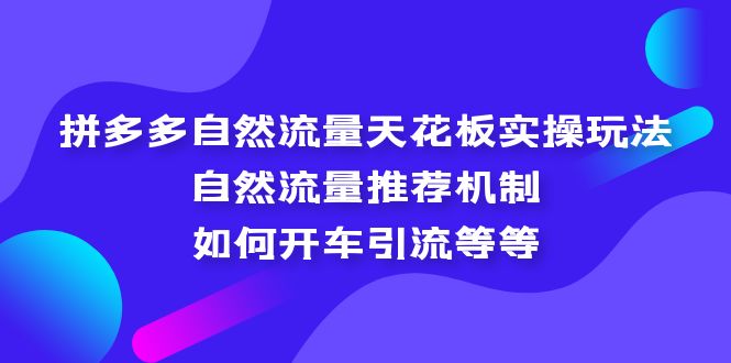（5327期）拼多多自然流量天花板实操玩法：自然流量推荐机制，如何开车引流等等网创吧-网创项目资源站-副业项目-创业项目-搞钱项目网创吧