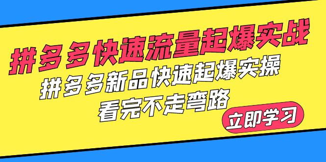 (6253期)拼多多-快速流量起爆实战,拼多多新品快速起爆实操,看完不走弯路网创吧-网创项目资源站-副业项目-创业项目-搞钱项目网创吧