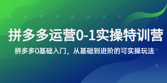（5747期）拼多多-运营0-1实操训练营，拼多多0基础入门，从基础到进阶的可实操玩法网创吧-网创项目资源站-副业项目-创业项目-搞钱项目网创吧