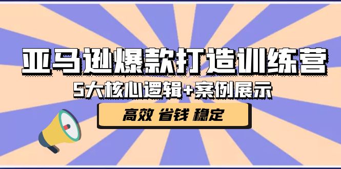 (5107期)亚马逊爆款打造训练营:5大核心逻辑+案例展示 打造爆款链接 高效 省钱 稳定