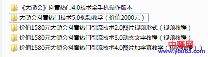 (908期)某高端赚钱项目:大熊会抖音热门技术2.0到5.0(全套视频课程)网创吧-网创项目资源站-副业项目-创业项目-搞钱项目网创吧