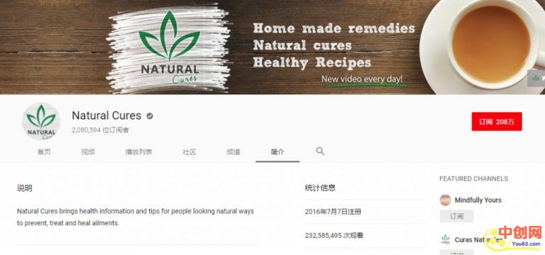 （1037期）教你利用Youtube赚美元，每天操作两三小时新手日入七十美元（26节视频课）