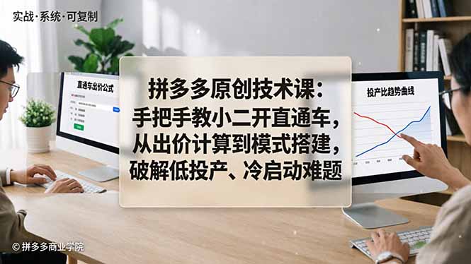 (18159期)拼多多原创技术课:手把手教小二开直通车,从出价计算到模式搭建,破解低投产、冷启动难题