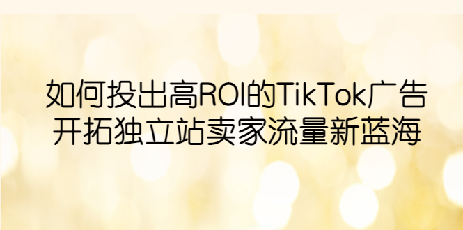 (6102期)如何投出高ROI·TikTok广告,开拓独立站卖家流量新蓝海网创吧-网创项目资源站-副业项目-创业项目-搞钱项目网创吧